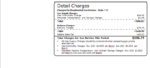 Ediable Utility Bills USA Indiana NIPSCO (Northern Indiana Public Service Company)-Word&PDF