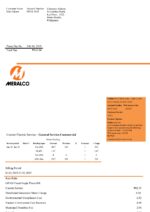 Ediable Utility Bills Philippines Manila Electric Company (Meralco) electricity bill-Word