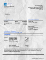 Bank Statement American Express Account Summary& Bank&Credit Card PDF