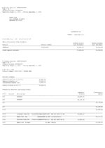 Bank Statement BBAV Bank&WORD Template