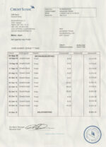 Bank Statement Credit Suisse Template