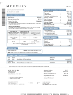 Bank Statement Mercury Cards Statement pdf Template
