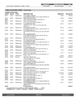 Bank Statement USA Texas University Federal Credit Union-pdf