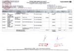 Bank Statement Vietnam Techcom Bank Statement pdf Template