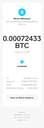 Bank Statement cash app bitcoin withdrawal word&pdf Template