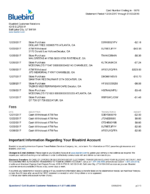 Bank Statement BlueBird Bank word Template