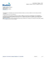 Bank Statement BlueBird Bank word Template