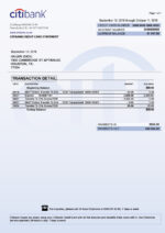 Bank Statement Citibank Cheque V1&2&3