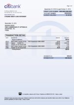 Bank Statement Citibank Cheque V1&2&3