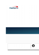 Bank Statement Capital One Bank Word Template