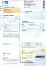 Ediable Utility Bills Chile Endesa Bill- Blank Template