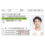 Japan Driver's License USA Driver License Template V1&2