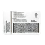 Phipplines Driver's License USA Driver License Template