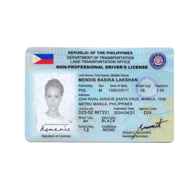 DL-Phipplines-New-Front (2) Phipplines Driver's License USA Driver License Template