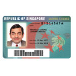 Singapore Driver's License USA Driver License Template