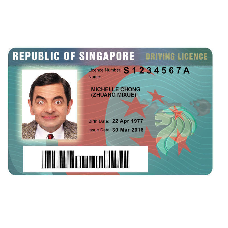 DL-Singapore-front (2) (2)