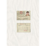 Taiwan DRIVER'S LICENSE