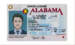 US Alabama Driver's License USA Driver License Template V1&2&3