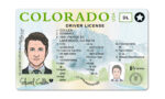 US Colorado Driver's License USA Driver License Template