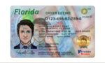 US Florida Driver's License USA Driver License Template