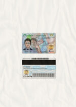US Florida Driver's License USA Driver License Template