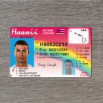 US Hawaii Driver's License USA Driver License Template V1&2&3