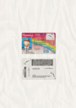 US Hawaii Driver's License USA Driver License Template V1&2&3