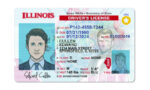 US Illinois Driver's License USA Driver License Template