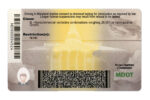 US Maryland Driver's License USA Driver License Template