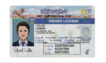 US Nevada Driver's License USA Driver License Template V1&2&3