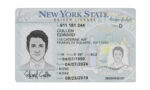 US New York NYC Driver's License USA Driver License Template V1&2&3