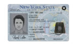 US New York NYC Driver's License USA Driver License Template V1&2&3