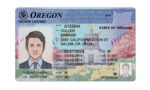 US Oregon Driver's License Driver License Template V1&2