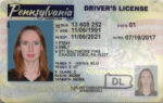 US Pennsylvania Driver's License Driver License Template V1&2