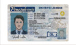 US Pennsylvania Driver's License Driver License Template V1&2
