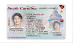 US South Carolina Driver's License US Driver License Template V1&2&3