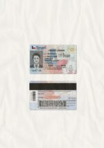 US Texas Driver's License US Driver License Template V1&2