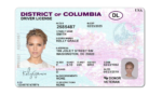 US Colombia DRIVER'S LICENSE