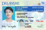 US Delaware Driver's License USA Driver License Template V1&2