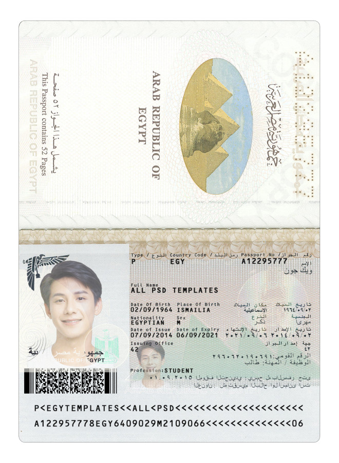 Egypt Passport 2008+ (2)
