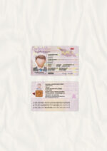 Georgia ID CARD Template Design ID Card Template