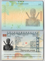 HONG KONG Passport Template Photo Picture Template