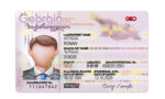 Georgia ID CARD Template Design ID Card Template