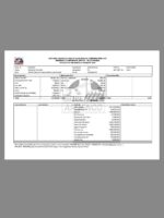 Paystub Generator APGENCO Proof Template PDF