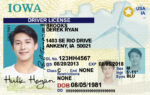 US Iowa Driver's License USA Driver License Template
