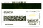 US Louisiana Driver's License USA Driver License Template