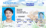US Maine Driver's License USA Driver License Template