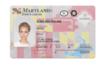 US Maryland Driver's License USA Driver License Template