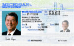 US Michigan Driver's License USA Driver License Template