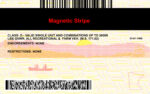 US Minnesota Driver's License USA Driver License Template